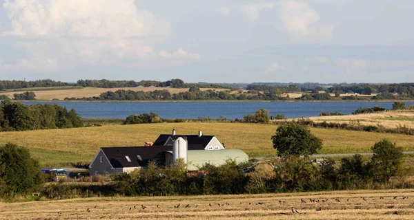 Billede af mark og gård