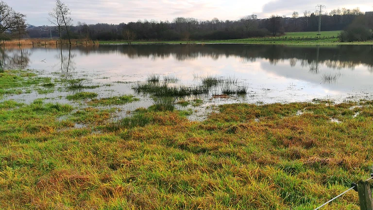 foto af oversvømmet eng - modelfoto fra Colourbox