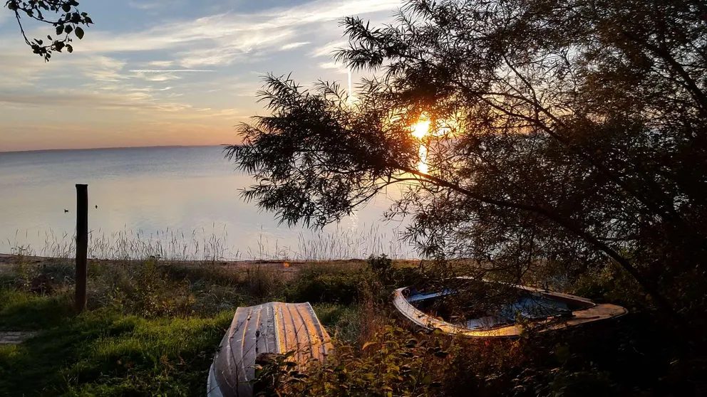 Sø, joller og solnedgang
