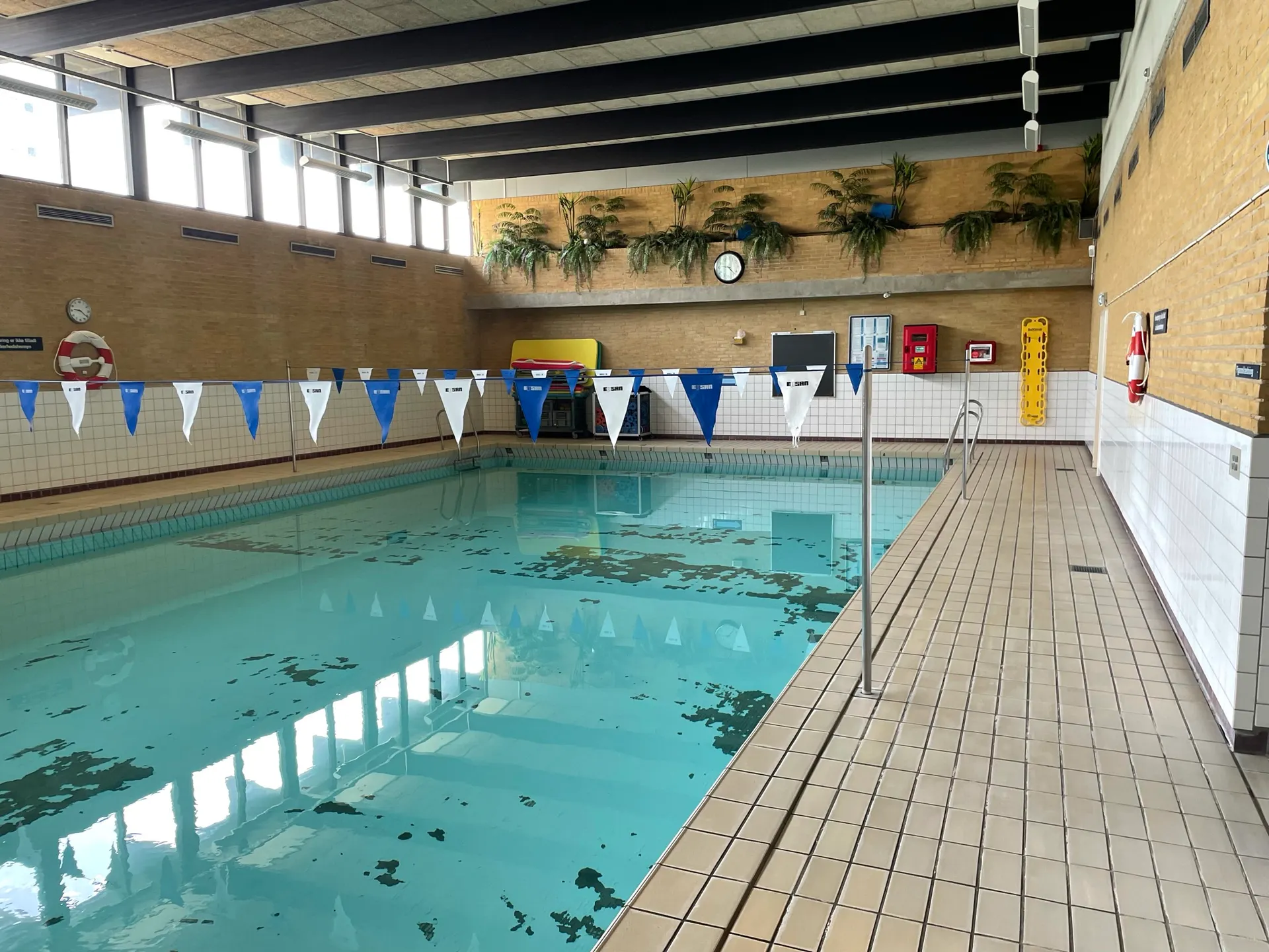 Egholmskolens Svømmesal