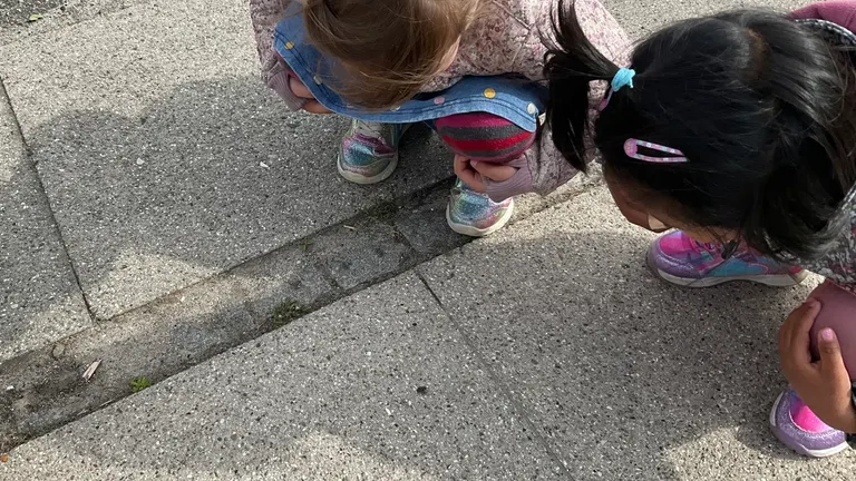 Børn kigger på skygger