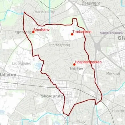 Billedet viser et kort over Herlev Kommune med markering af hundefoldene ved Hospitalsparken i midt Herlev, ved Træbanken i nordøst og Smalskov i nordvest.